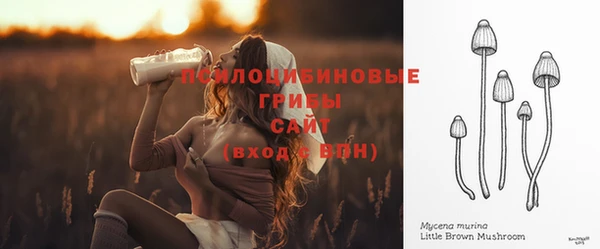 эйфоретик Балахна