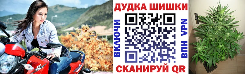 Канабис VHQ  как найти   Нея 